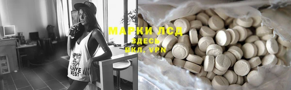 индика Алексеевка
