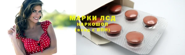 спайс Алзамай