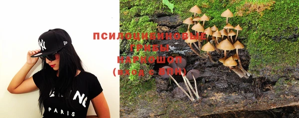 соль ск Пестово