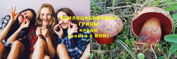 спайс Алзамай
