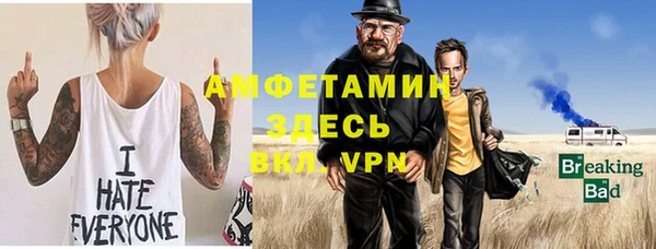 индика Алексеевка